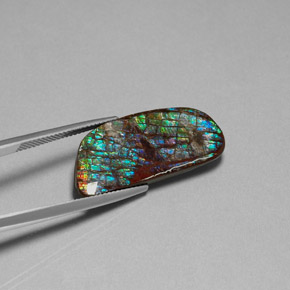 Ammolite multicolore naturale da 16,86 ct, forma fantasia, opaco