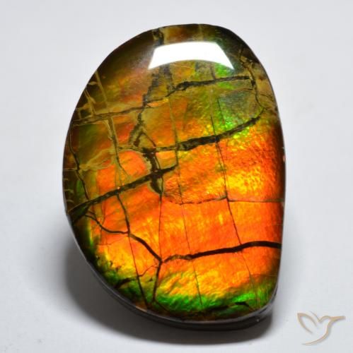 17.11ct Naturale Multicolore Ammolite, Taglio a fantasia, Opaco