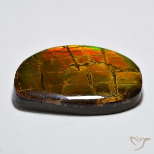 Ammolite Multicolore naturale da 17.11 ct, Taglio a fantasia, Opaco