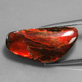 Ammolite naturale multicolore da 9,14 ct, forma fantasia, opaco