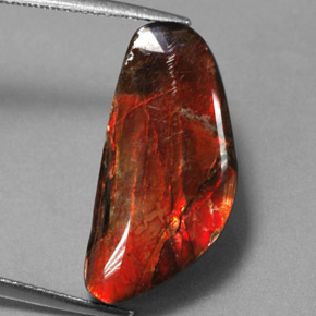 Ammolite naturale multicolore da 9,14 ct, forma fantasia, opaco