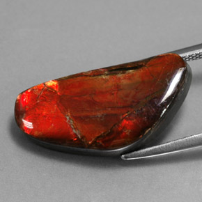 Ammolite naturale multicolore da 9,14 ct, forma fantasia, opaco