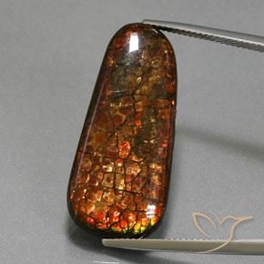 21.40ct Naturale Multicolore Ammolite, Taglio a fantasia, Opaco