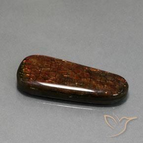 Ammolite Multicolore naturale da 21.40 ct, Taglio a fantasia, Opaco