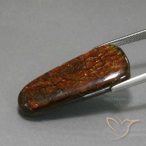 Ammolite Multicolore naturale da 21.40 ct, Taglio a fantasia, Opaco