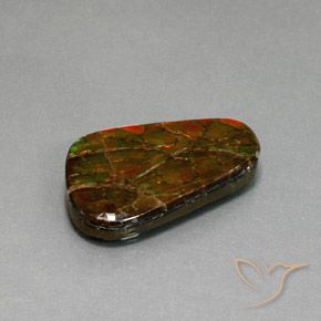 Ammolite Multicolore naturale da 18.59 ct, Taglio a fantasia, Opaco