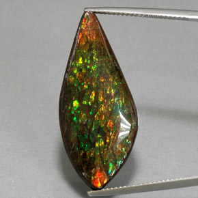 Ammolite naturale multicolore da 19,86 ct, forma fantasia, opaco