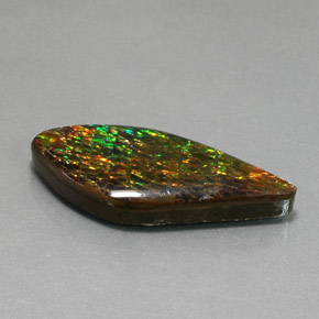 Ammolite naturale multicolore da 19,86 ct, forma fantasia, opaco