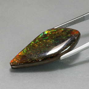 Ammolite naturale multicolore da 19,86 ct, forma fantasia, opaco
