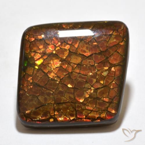 20.34ct Naturale Multicolore Ammolite, Taglio a fantasia, Opaco