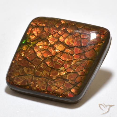 Ammolite Multicolore naturale da 20.34 ct, Taglio a fantasia, Opaco