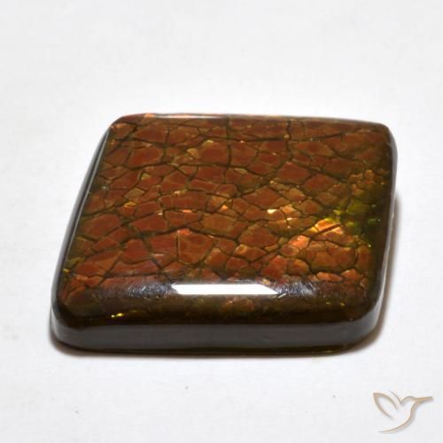 Ammolite Multicolore naturale da 20.34 ct, Taglio a fantasia, Opaco