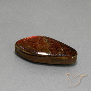 Ammolite Multicolore naturale da 11.37 ct, Taglio a fantasia, Opaco