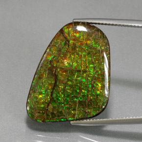 Ammolite naturale multicolore da 21,28 ct, forma fantasia, opaco