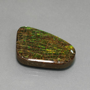 Ammolite naturale multicolore da 21,28 ct, forma fantasia, opaco