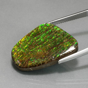 Ammolite naturale multicolore da 21,28 ct, forma fantasia, opaco
