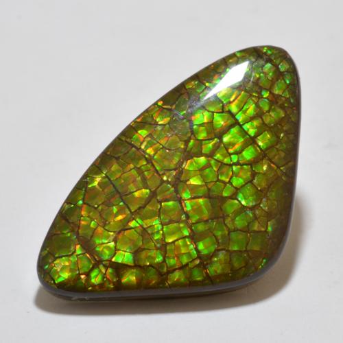 Ammolite Multicolore naturale da 17.80 ct, Taglio trillion, Opaco