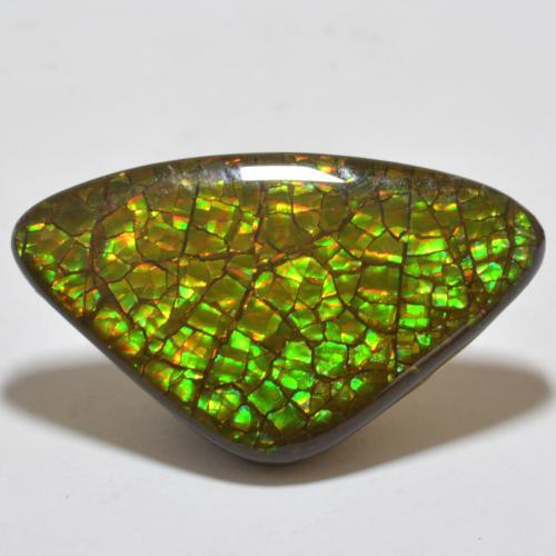 Ammolite Multicolore naturale da 17.80 ct, Taglio trillion, Opaco
