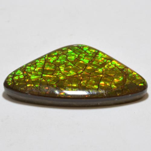 Ammolite Multicolore naturale da 17.80 ct, Taglio trillion, Opaco