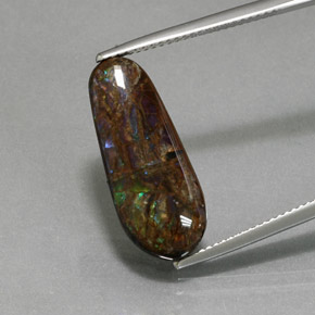 Ammolite Multicolore naturale da 8.48 ct, Forma fantasia, Opaco