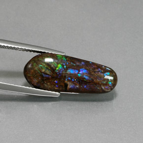 Ammolite Multicolore naturale da 8.48 ct, Forma fantasia, Opaco