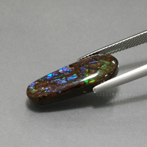 Ammolite Multicolore naturale da 8.48 ct, Forma fantasia, Opaco