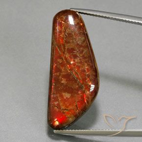 17.60ct Naturale Multicolore Ammolite, Taglio a fantasia, Opaco