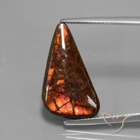 Ammolite naturale multicolore da 8,81 ct, forma fantasia, opaco