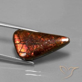 Ammolite naturale multicolore da 8,81 ct, forma fantasia, opaco