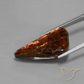 Ammolite naturale multicolore da 8,81 ct, forma fantasia, opaco