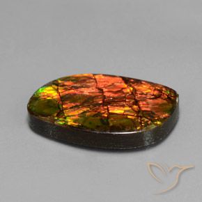Ammolite Multicolore naturale da 13.27 ct, Taglio a fantasia, Opaco