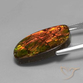 Ammolite Multicolore naturale da 13.27 ct, Taglio a fantasia, Opaco