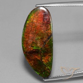 12.10ct Naturale Multicolore Ammolite, Taglio a fantasia, Opaco