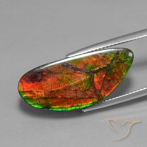 Ammolite Multicolore naturale da 12.10 ct, Taglio a fantasia, Opaco
