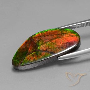 Ammolite Multicolore naturale da 12.10 ct, Taglio a fantasia, Opaco