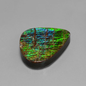Ammolite naturale multicolore da 12,97 ct, forma fantasia, opaco