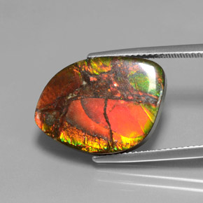 Ammolite naturale multicolore da 13,21 ct, forma fantasia, opaco
