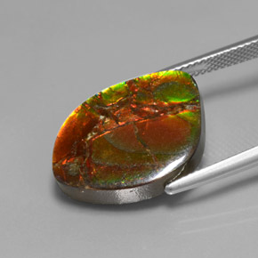Ammolite naturale multicolore da 13,21 ct, forma fantasia, opaco