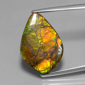 Ammolite naturale multicolore da 10,41 ct, forma fantasia, opaco