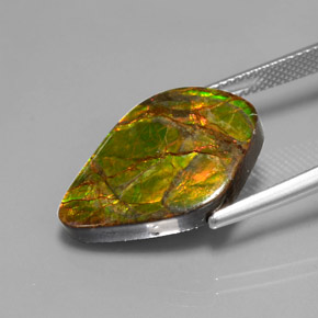 Ammolite naturale multicolore da 10,41 ct, forma fantasia, opaco