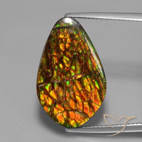 14.79ct Naturale Multicolore Ammolite, Taglio a fantasia, Opaco