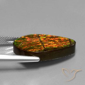 Ammolite Multicolore naturale da 14.79 ct, Taglio a fantasia, Opaco