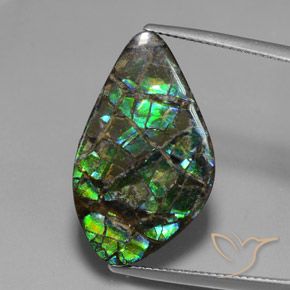 15.28ct Naturale Multicolore Ammolite, Taglio a fantasia, Opaco
