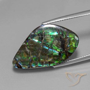 Ammolite Multicolore naturale da 15.28 ct, Taglio a fantasia, Opaco