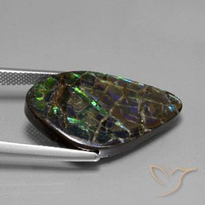 Ammolite Multicolore naturale da 15.28 ct, Taglio a fantasia, Opaco