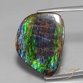 15.82ct Naturale Multicolore Ammolite, Taglio a fantasia, Opaco