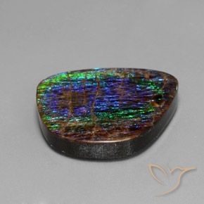 Ammolite Multicolore naturale da 15.82 ct, Taglio a fantasia, Opaco