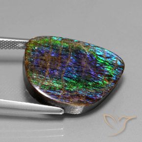 Ammolite Multicolore naturale da 15.82 ct, Taglio a fantasia, Opaco
