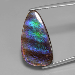Ammolite Multicolore naturale da 15.59 ct, Forma fantasia, Opaco