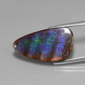 Ammolite Multicolore naturale da 15.59 ct, Forma fantasia, Opaco